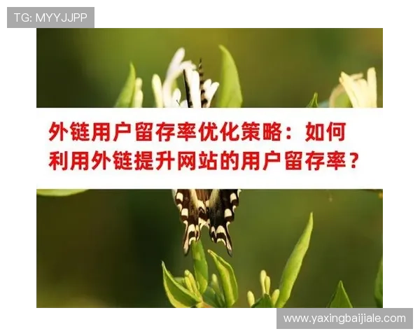 提升PA网站用户体验的实用技巧，增强访问留存率和用户满意度