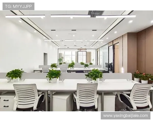 掌握K8视讯技巧实现稳定盈利的实战经验与策略分析 掌握K8视讯技巧实现稳定盈利的实战经验与策略分析