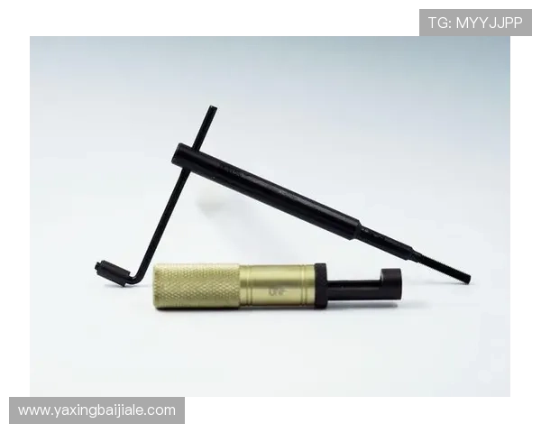 新手必看：K8凯发滚球盘入门指南及实用操作技巧快速掌握基础知识