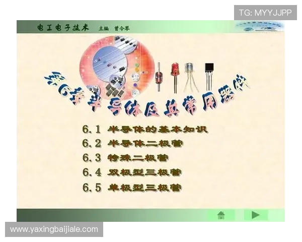 全面解析dg视讯游戏的规则与玩法帮助新手快速上手赢得更多奖励