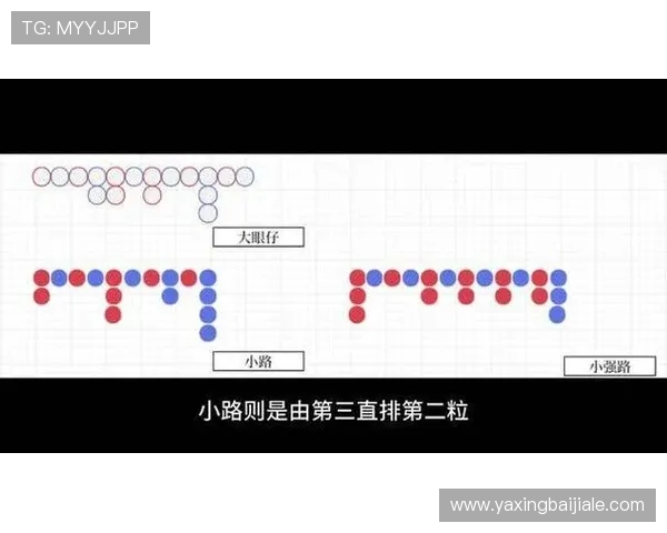 百家乐下三路怎么看掌握三路走势的详细分析与实用技巧