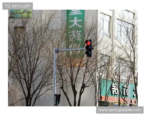 确保PA视讯登录顺畅，解决常见登录问题的实用技巧